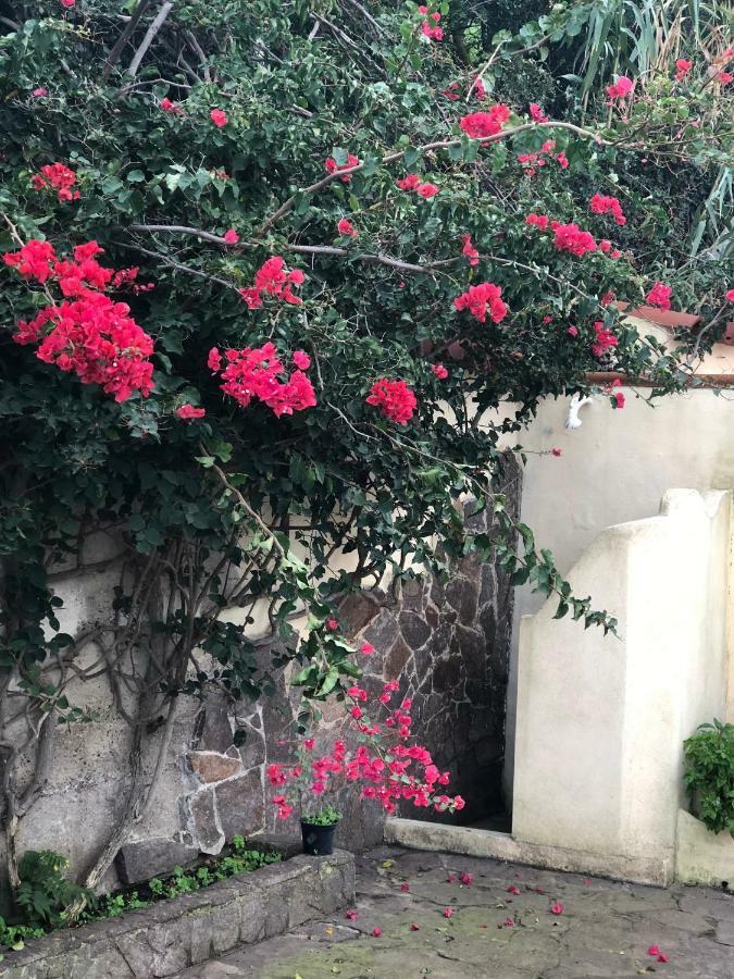 Torre Dei Corsari Mit Aussicht Auf Meer Und Dune エクステリア 写真